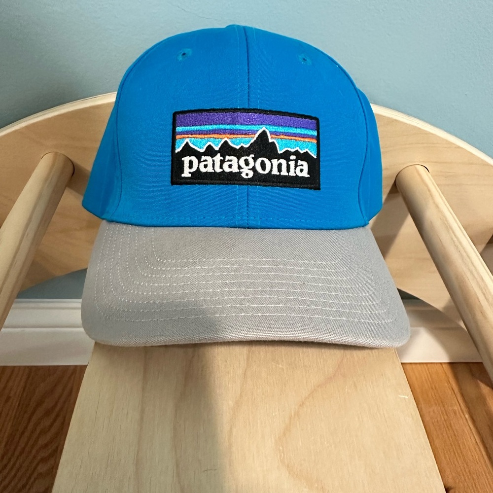 Patagonia Blue and Gray Cap
